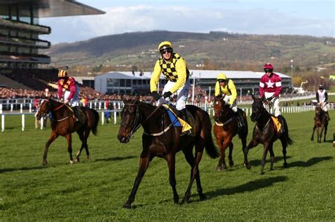 cheltenham betting tips 2021 - Andy Newton's Cheltenham Picks, Trends & Form Guide, 15th Nov